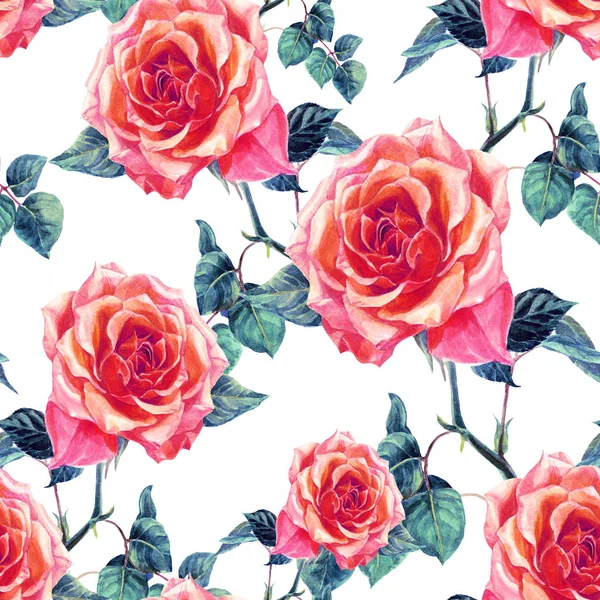 水彩彩绘玫瑰无缝图案 — 图库照片