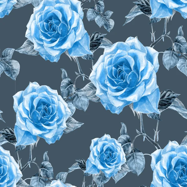 Dikişsiz desen suluboya ile boyalı gül.