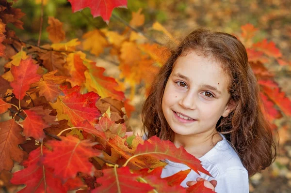 Portrait Girl School Age Beautiful Sunny Autumn Park Wreath Leaves — Stock Photo, Image