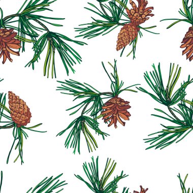 Çamın dalları ve koniler Noel seamless modeli.