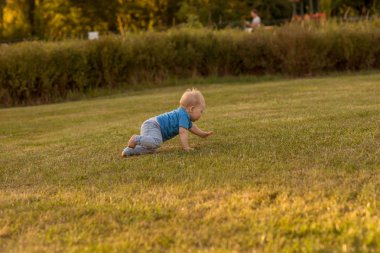 Bebek birinci yıl yaşam eğlenceli çimenlerin üzerinde tarama.