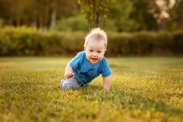 Dziecko Pierwszego Roku Życia Zabawy Czołgał Się Trawie — Zdjęcie stockowe