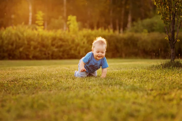 Baby first year life fun crawling on the grass.