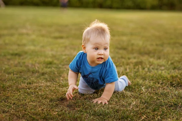 Dziecko Pierwszego Roku Życia Zabawy Czołgał Się Trawie — Zdjęcie stockowe
