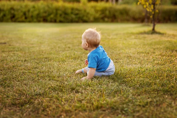 Baby Första Året Livet Roligt Kryper Gräset Royaltyfria Stockfoton