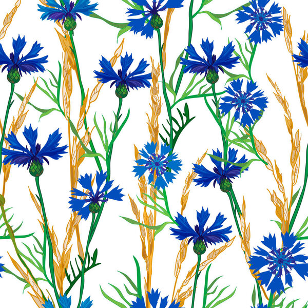 Бесшовный рисунок кукурузных цветов и шипов, векторная фоновая иллюстрация
.