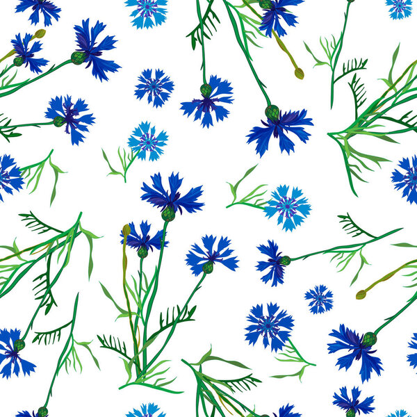 Цветочный бесшовный рисунок васильковых цветов
.