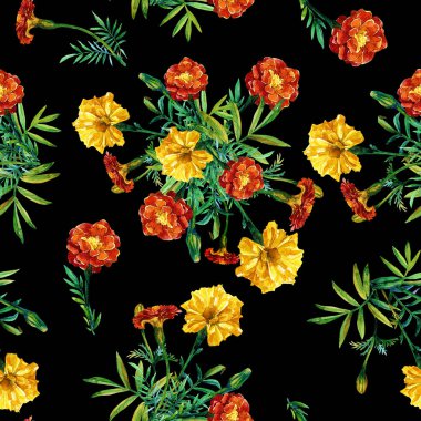 Suluboya boyalı marigolds seamless modeli.