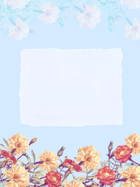 Card Place Text Flowers Marigolds Painted Watercolor — Stock Photo, Image