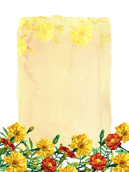 Cartão Com Lugar Para Texto Com Flores Calêndulas Pintadas Aquarela — Fotografia de Stock