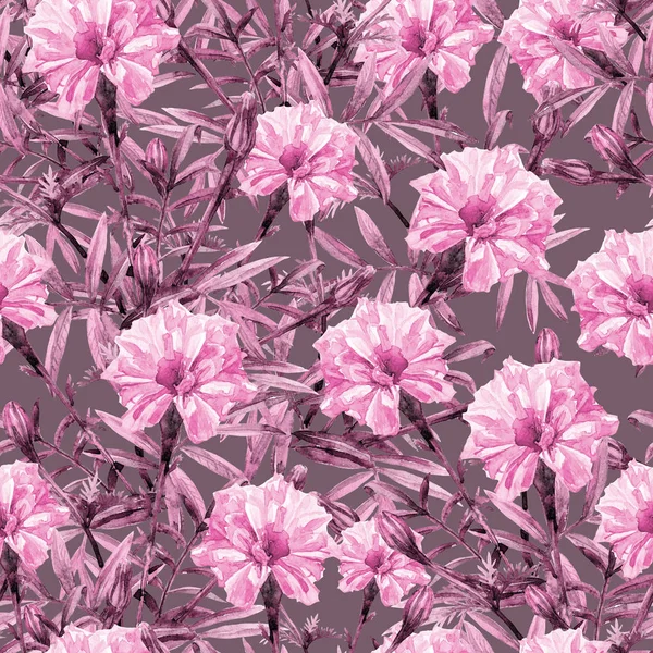水彩画万寿菊的无缝图案 — 图库照片