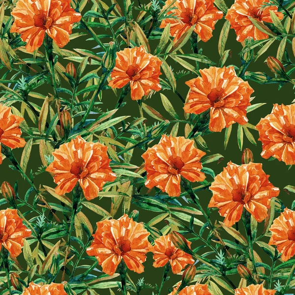 Seamless Pattern Marigolds Painted Watercolor — Stock Photo, Image