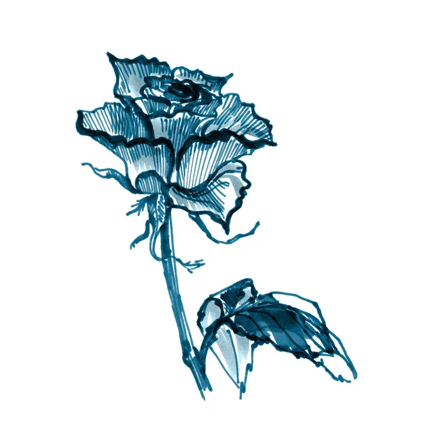 Uma Rosa Desenhada Com Marcador — Fotografia de Stock