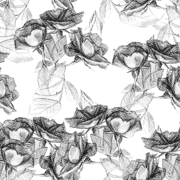 Seamless Pattern Roses Drawn Pencil — Stock Photo, Image