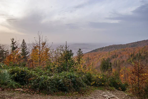 Herfstbos Bergen — Stockfoto