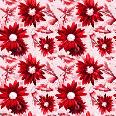 Sulu boya Dikişsiz desen kasımpatı çiçekleri.