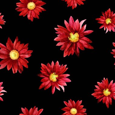 Sulu boya Dikişsiz desen kasımpatı çiçekleri.