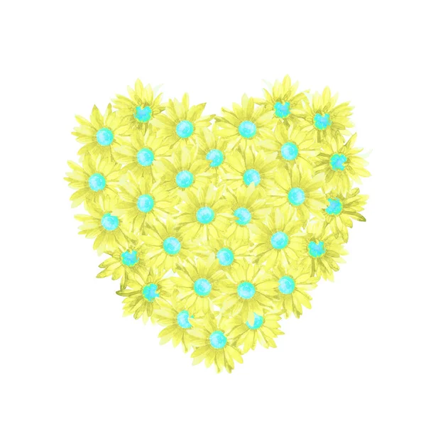 Kasımpatı Çiçekleri Beyaz Arka Plan Üzerinde Izole Suluboya Boyalı Kalbinde — Stok fotoğraf