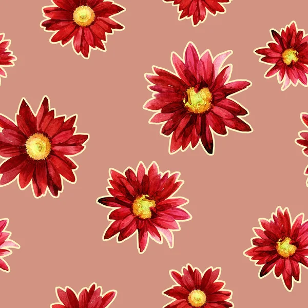 Aquarell Nahtloses Muster Von Chrysanthemenblüten — Stockfoto
