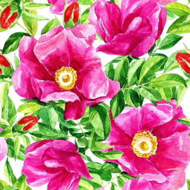 Suluboya boyalı yabani gül ile Çiçek dikişsiz desen.