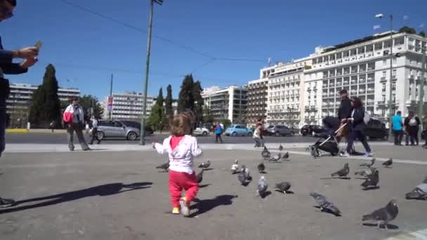 Atenas Grecia 2018 Gente Palomas Cerca Del Parlamento Plaza Syntagma — Vídeos de Stock