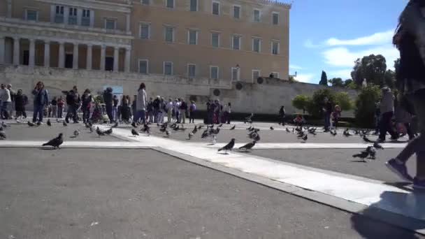 2018 在希腊雅典议会和宪法广场附近的人和鸽子 — 图库视频影像