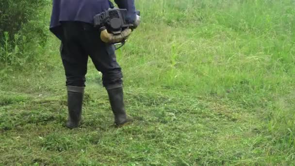 Jardinero Cortando Hierba Por Cortacésped — Vídeo de stock