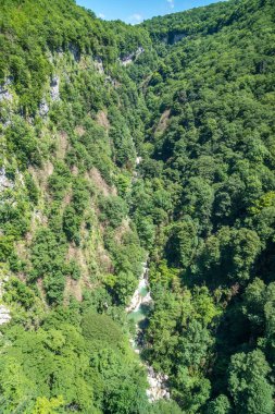 Gürcistan'daki yeşil bitkiler ile iki yüksek kayalar arasında akan orman nehir. Okatse Kanyonu.