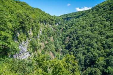 Gürcistan'daki yeşil bitkiler ile iki yüksek kayalar arasında akan orman nehir. Okatse Kanyonu.