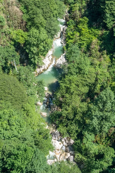 Rio Floresta Fluindo Entre Duas Rochas Altas Com Plantas Verdes — Fotografia de Stock