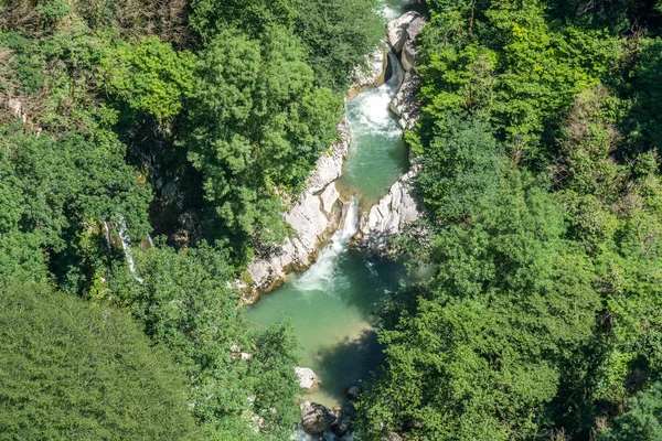 Rio Floresta Fluindo Entre Duas Rochas Altas Com Plantas Verdes — Fotografia de Stock