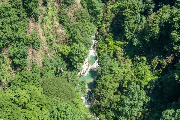 Rio Floresta Fluindo Entre Duas Rochas Altas Com Plantas Verdes — Fotografia de Stock