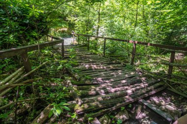 Zeda-gordi, Georgia. Görünüm döşeli orman yolu ve ahşap köprü Kanyon Okatse önde gelen.