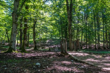 Zeda-gordi, Georgia. Görünüm döşeli orman yolu ve ahşap köprü Kanyon Okatse önde gelen.