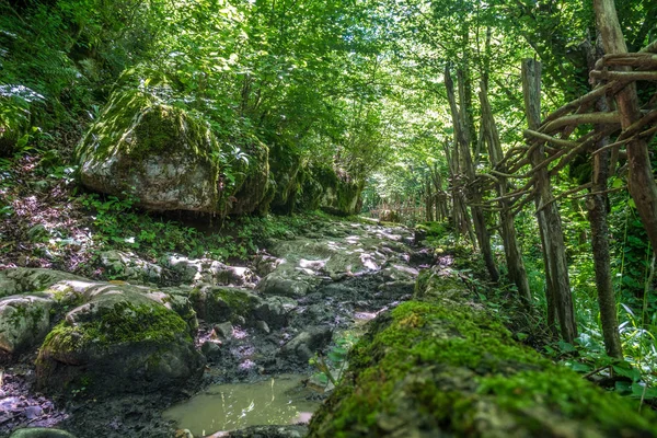 Zeda Gordi Georgia View Paved Forest Path Leading Canyon Okatse — Stock Photo, Image