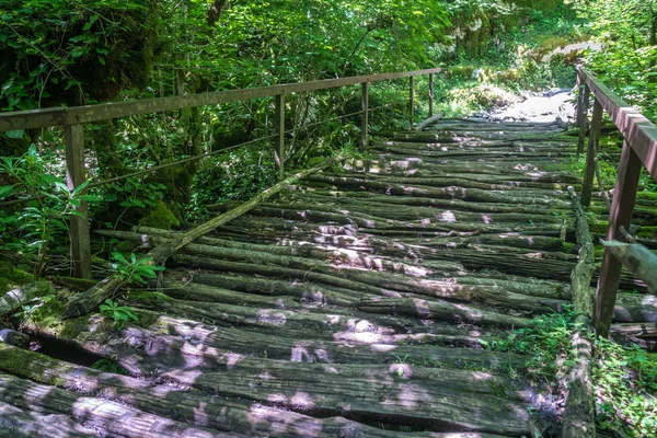 Зеда Горди Джорджия Вид Мощеную Лесную Тропу Деревянный Мост Впадающий — стоковое фото