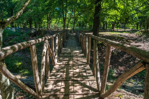 Zeda Gordi Georgia View Paved Forest Path Wooden Bridge Leading — Stock Photo, Image