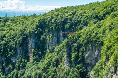 Zeda-gordi, Georgia. Okatse orman canion. Gürcistan.