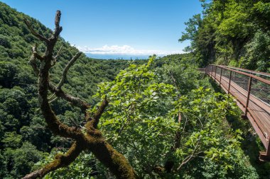 Okatse Kanyon, Kanyon, Zeda Gordi, Gürcistan yukarıda hiking trail.