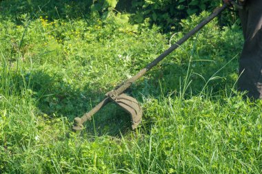 Bahçıvan kesme çim çim biçme makinesi tarafından.