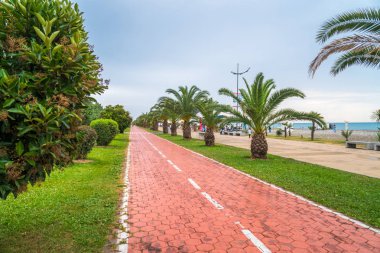 Batum, Gürcistan - 16.06.2018: Park yakınındaki mesire Batum, palmiye ağaçları ile.