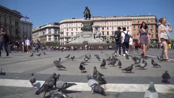 Milan Italië 2018 Duiven Vierkante Duomo Kathedraal Vittorio Emanuele Monument — Stockvideo
