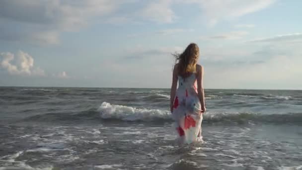 Sealine Boyunca Mutlu Kız Yürüyüş — Stok video