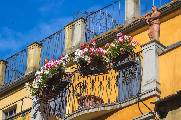 Γλάστρα Λουλούδια Έναν Τυπικό Δρόμο Της Παλιάς Πόλης Φλωρεντία — Φωτογραφία Αρχείου