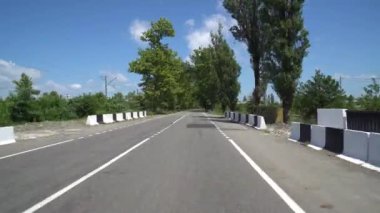 Gürcistan 'ın Kaladidi köyündeki Sycamore ağaçlarının arasındaki yol.