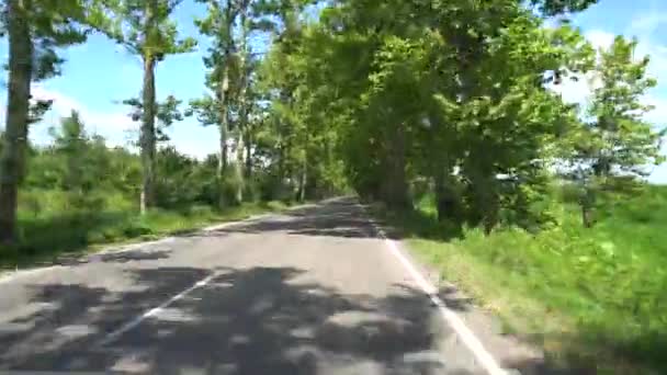 Droga Między Drzewami Sycamore Wiosce Chaladidi Gruzja — Wideo stockowe