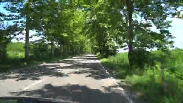 Route Entre Les Sycomores Dans Village Chaladidi Géorgie — Video