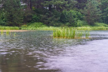 Yağmurlu bir gün, Üst Svaneti dağlarda gölde. Gürcistan.