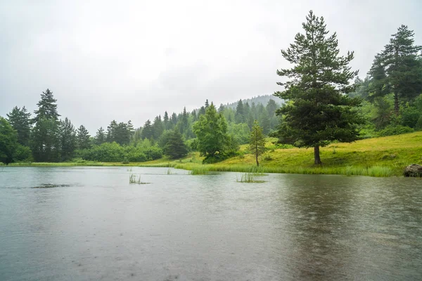 Lac Dans Les Montagnes Par Temps Pluie Haute Svaneti Géorgie — Photo