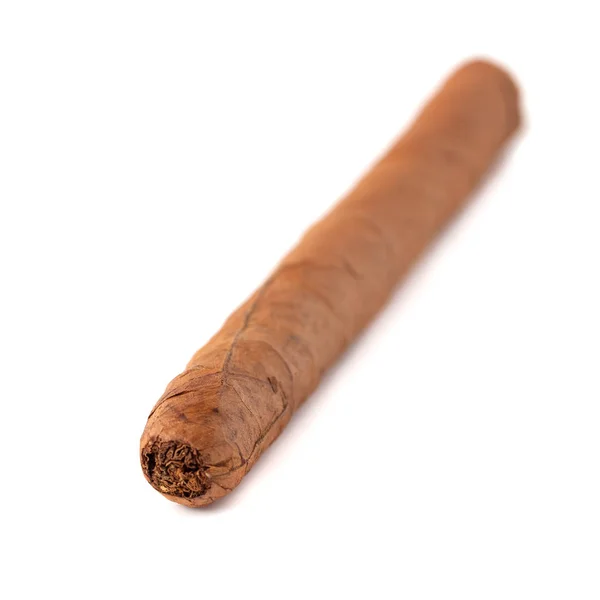 Den Långa Cigarr Isolerad Vit Bakgrund — Stockfoto